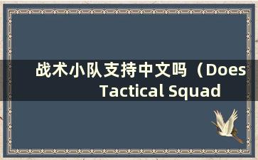 战术小队支持中文吗（Does Tactical Squad have Chinese-）